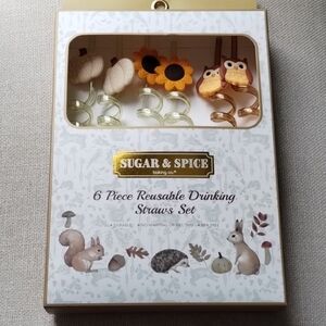 Reusable Drinking Straws Set - Multicolor